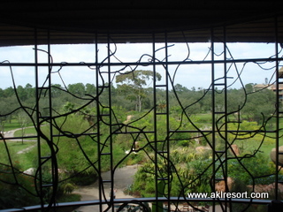 Arusha Savanna